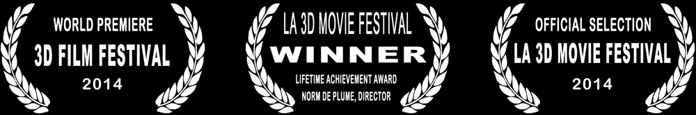 Festival Winner